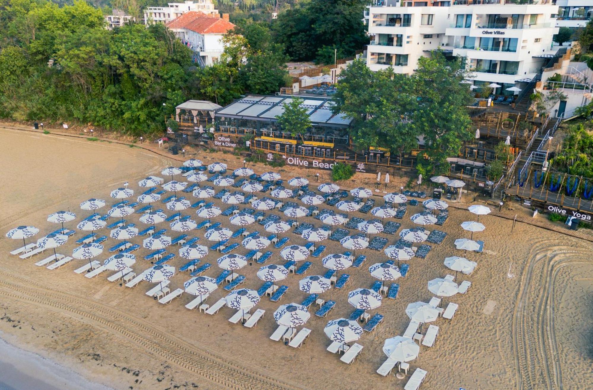 Olive Hotel 5*