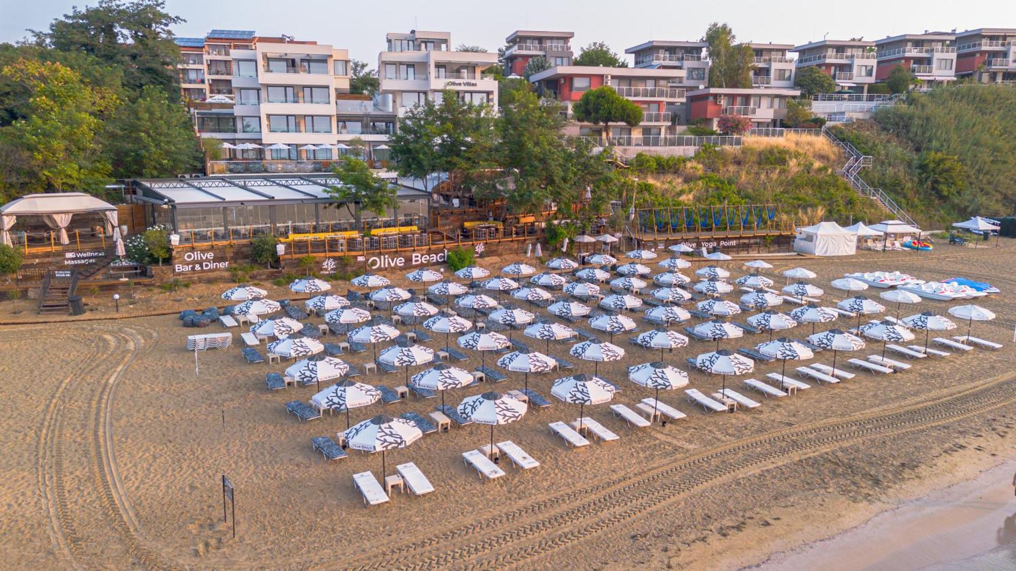 Olive Sozopol