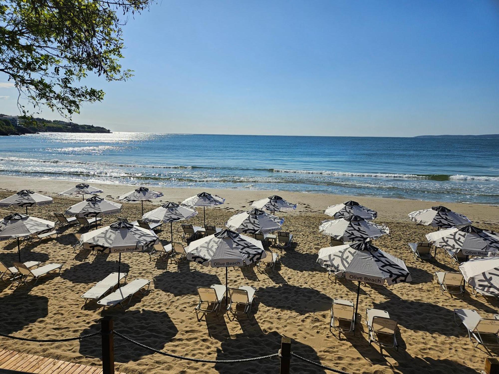 Olive Hotel 5*