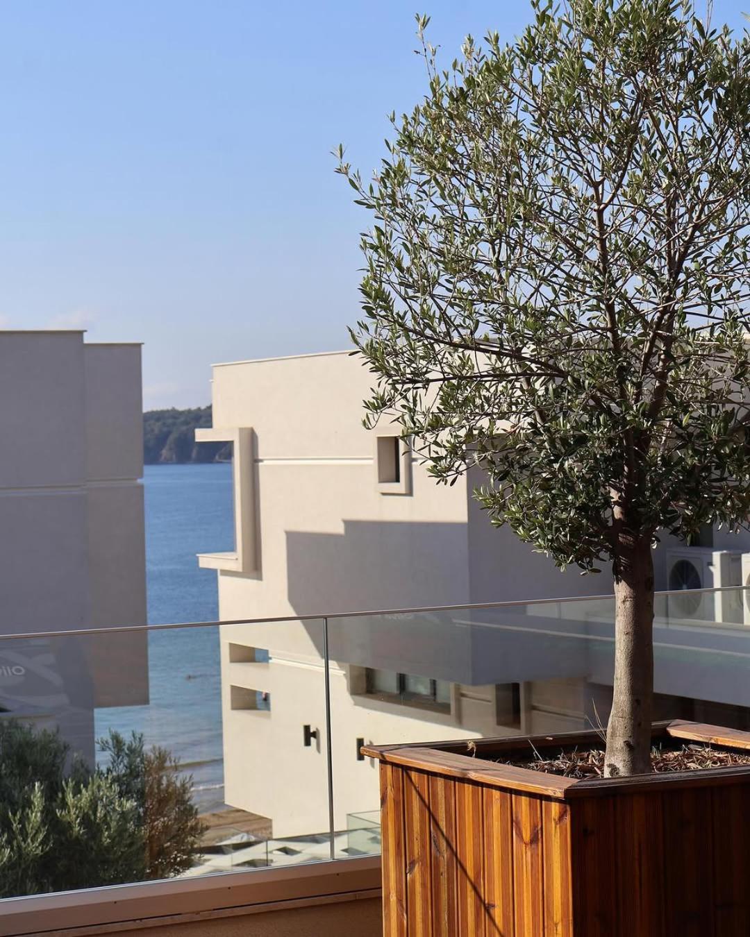 Hotel Olive